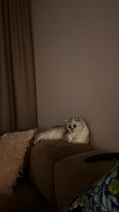 Фото покупателя, оценка 5 - 3